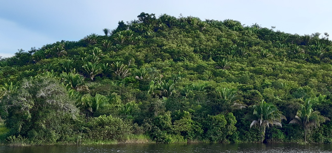 COOPPROJIRAU — Cooperativa